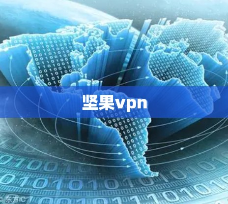 坚果vpn